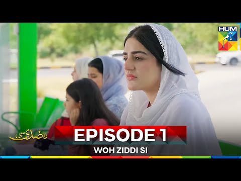 Woh Ziddi Si — #8 Best A-Plus Drama