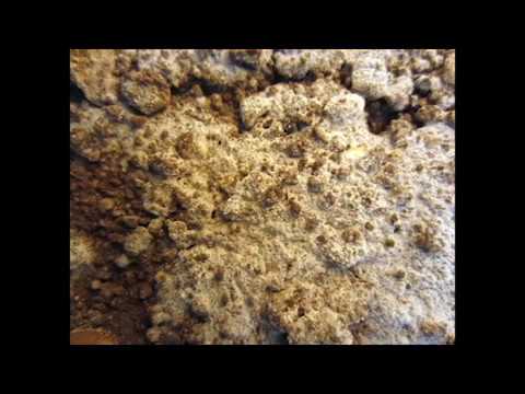 Langzeitversuch Bodenversalzung