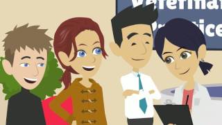 How to market my veterinary practice (310) 504-3734