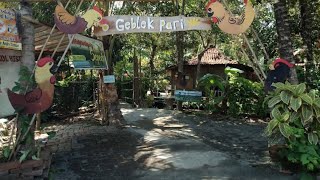 Download lagu Geblek Pari Nanggulan Wisata Kuliner Kulon Progo #shorts mp3