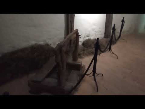 Cubot X19 kamera minta #2