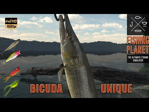 FISHING PLANET BICUDA UNIQUE #204 SUR LE DÉDALE DE L'AMAZONE