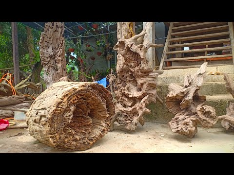 Lô gỗ lũa chọn lọc gù hương, dổi, kháo đá... Giá rẻ bán mừng tuổi anh em (selling driftwood in bulk)
