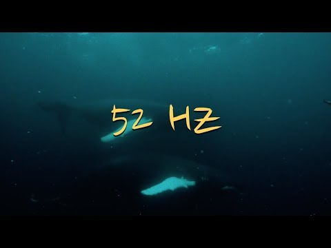KnowKnow - 52 HZ (prod. Roko Tensei) [Official Lyric Video]