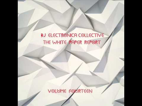 DJ ELECTRONICA COLLECTIVE - THE WHITE PAPER, Vol 14