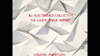 DJ ELECTRONICA COLLECTIVE - THE WHITE PAPER, Vol 14