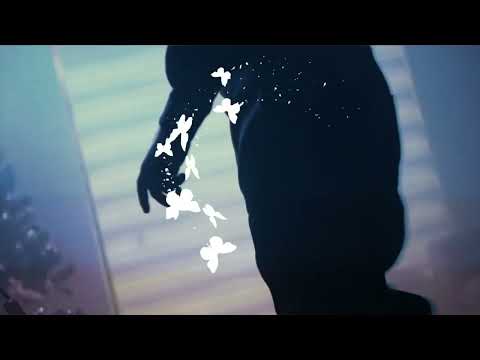 Mariposas - coming soon Mr. Don X DerekVinci New Bachata