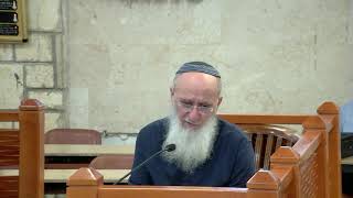 מה הסיבה האמיתית שמשה לא נכנס לארץ? – שיעור 8 – ספר דברים