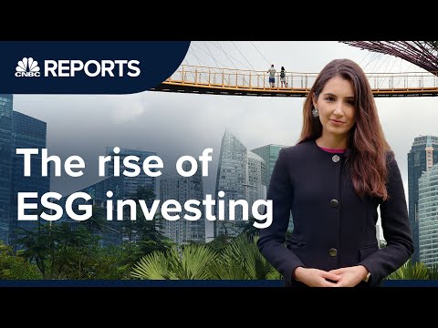 可持續投資只是一種營銷策略嗎？| CNBC報道 (Is sustainable investing just a marketing ploy? | CNBC Reports)