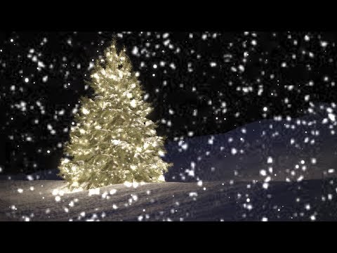 [10 Hours] Slo-Mo Snow falling on Christmas Tree - Video & Audio [1080HD] SlowTV