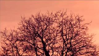 Stoa - Autumn Subtitulos al español.