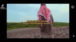 Download lagu STORY WA BERTERIAK DIALAM DAPAT MEREDAKAN STRES mp3