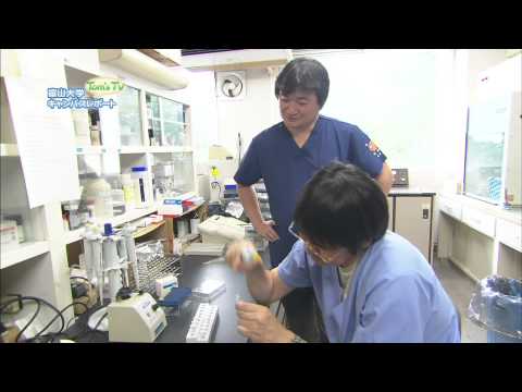 医学部 黒田 敏 教授 (脳神経外科学 (脳卒中の外科・脳循環代謝))【Tom's TV 2013】