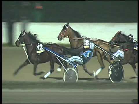 Trotto 31/12/2015 - 8° corsa - TRIS