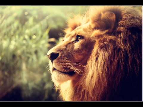 Hoje o dia amanheceu - Planta e Raiz