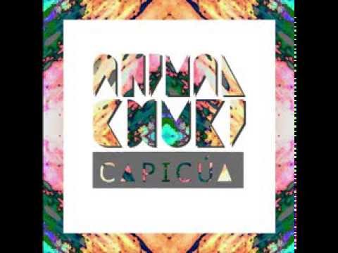 Animal Chuki - Amarilla Maracuyá