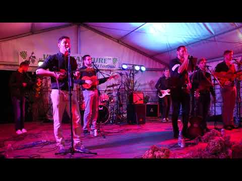 Sumartonski Lepi Dečki - Hajde da ludujemo (cover)