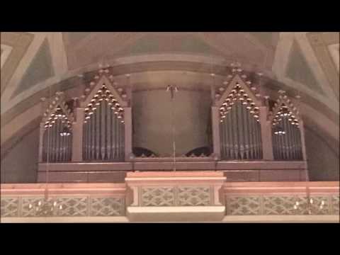 Joachim Simon Mayer (1969) - Psalm 100 "Jubilate Deo" (Uraufführung)