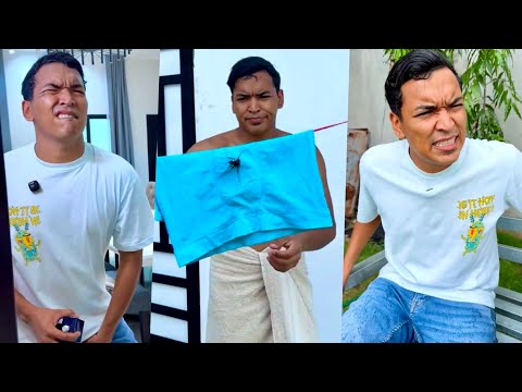 A LARIN LO PICO UNA ARAÑA | LOS NUEVOS TIKTOK DE ALFREDO LARIN