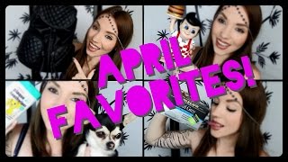 April Favorites '15 & HAUL! | Big Boy, Dog Care, & Tea!