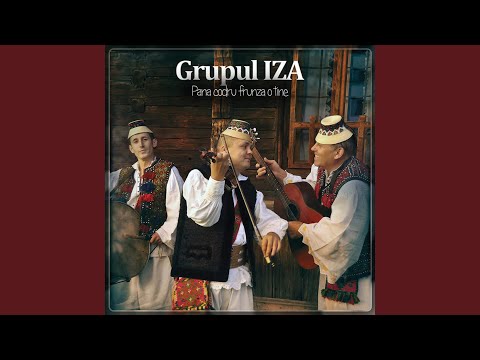 De-as Sti Canta Ca Si Cucu