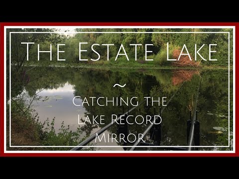 Carp Fishing ~ Estate Lake Carp ~ (The Road Trip Part 1) Video