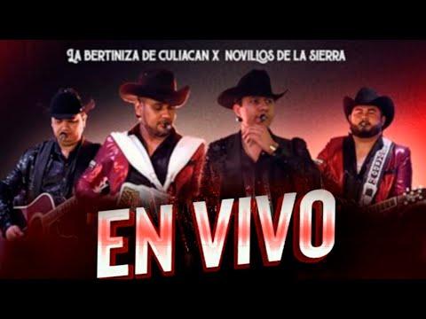 Los Novillos De La Sierra y La Bertiniza de Culiacán En vivo