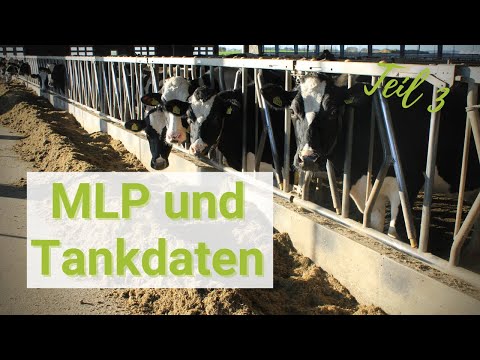 MLP und Tankdaten – Fütterungsexpertin Denise Völker gibt praktische Tipps