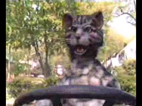 Toonces on the Lawnmower