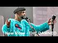 'New Rose' THE DAMNED at Wembley Arena