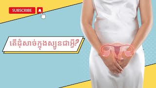 តើដុំសាច់ក្នុងស្បូនជាអ្វី? | ចំនេះដឹងសុខភាព​​​ | Health Education