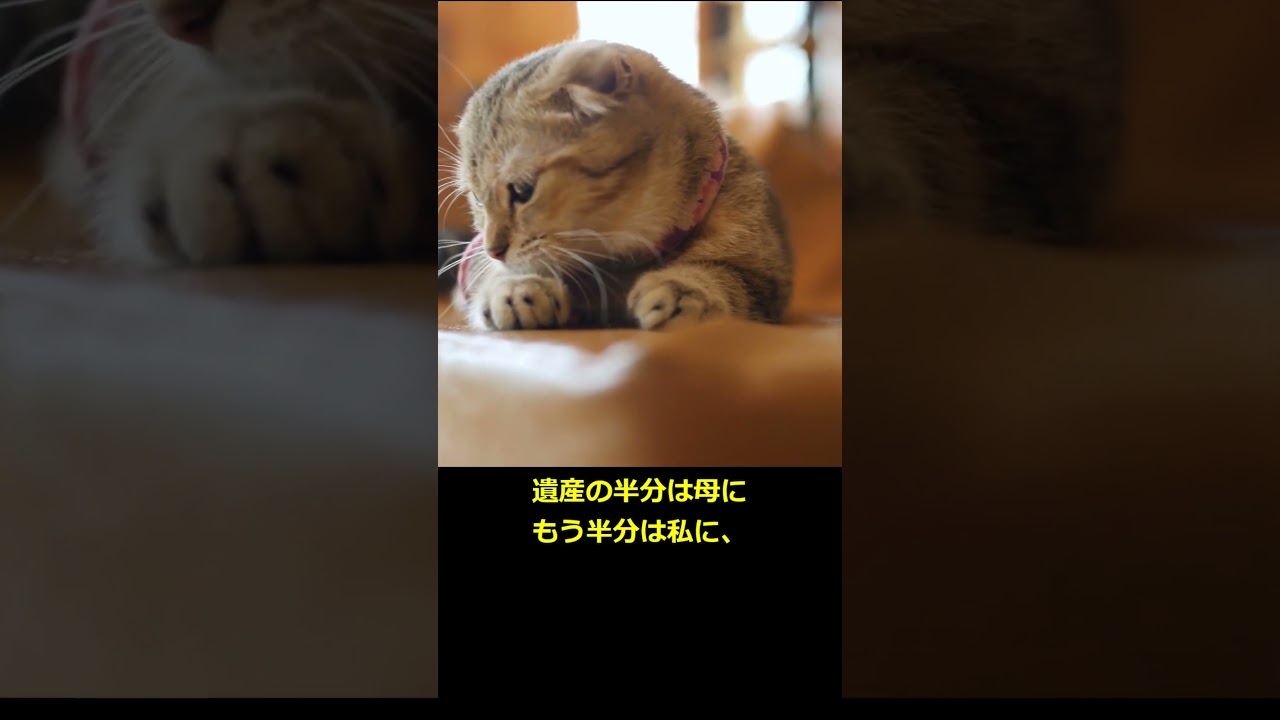 【5ch スカッと】私の父の遺産目当てに世話を焼くママ友！相続時になぜか唖然としていた？【修羅場】#shorts