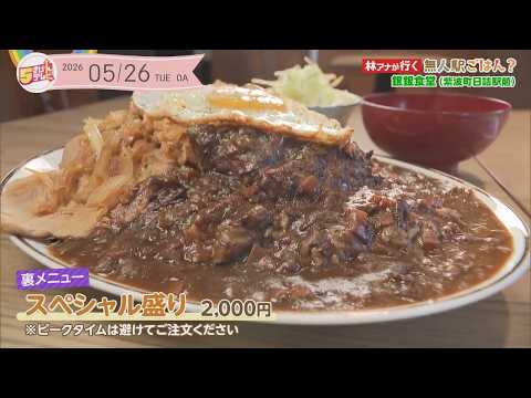 Announcer Hayashi Visits! Unmanned Station Eats? | JR Tohoku Main Line Hizume Station Gingin Shokudo