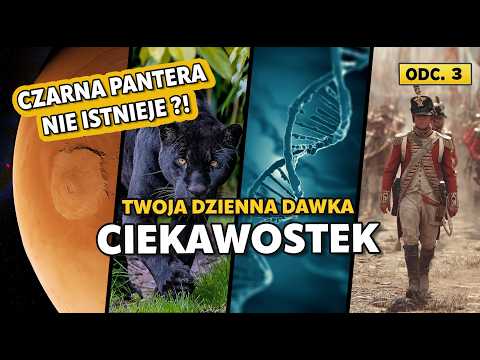 Czarna Pantera nie istnieje?!! Twoja Dzienna Dawka Ciekawostek - odc. 3