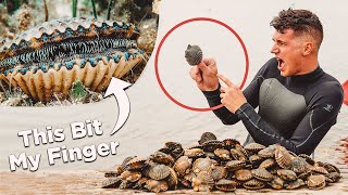 I Caught And Cooked LIVE Scallops