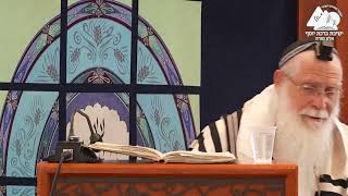 מאיזה מברכותיו אומר אחריה אמן | הרב אליקים לבנון | הלכות תפילת שחרית | 19 (ישיבת ברכת יוסף - אלון מורה) - התמונה מוצגת ישירות מתוך אתר האינטרנט יוטיוב. זכויות היוצרים בתמונה שייכות ליוצרה. קישור קרדיט למקור התוכן נמצא בתוך דף הסרטון