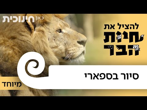 צאו לסיור מודרך בספארי ברמת גן והכירו את חלק מדייריו