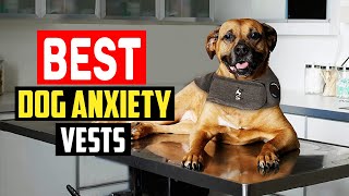 ✅Top 5 Best Dog Anxiety Vests of 2025