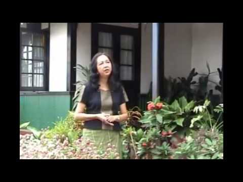 Lalsangzuali Sailo - Ruihhlo zunzam (Official)