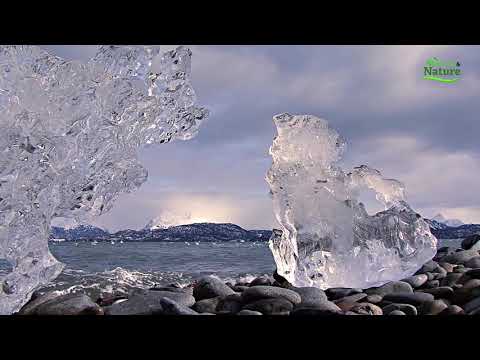 Speranța ambiental 5 - Stau și privesc, instrumental music