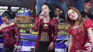 Download lagu Tayub kreasi jaranan seni tayub jaranan jawatimuran mp3