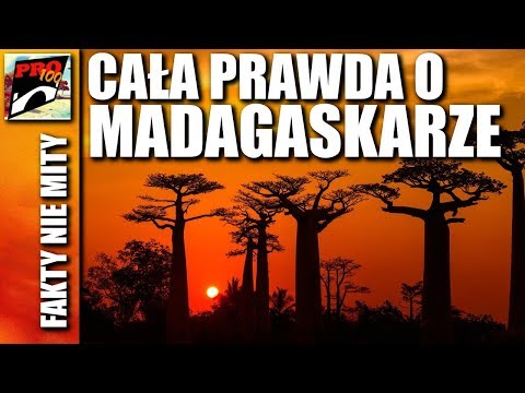 MADAGASKAR - CAŁA PRAWDA