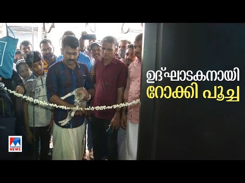 ആരോ നാടു കടത്തിയ പൂച്ച ഭാഗ്യമെത്തിച്ചു; ബിസിനസ് വളര്‍ന്നു; പുതിയ കട ഉദ്ഘാടകയായി പൂച്ച