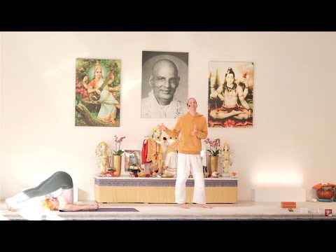Yogastunde Mittelstufe "Geistig" mit Ravi - Yoga Vidya Ashram Live - 09:15 Uhr 02.03.2022