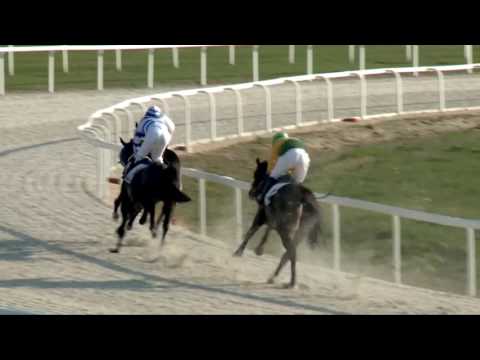 2017.04.02. 7. futam - KINCSEM FILM DÍJA - PESTMEGYEI HENDIKEP (I.o.) (szintetikus pálya)