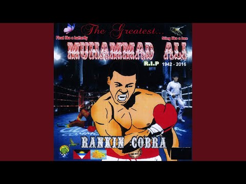 Muhammad Ali (Drum and Bass & Percussion)