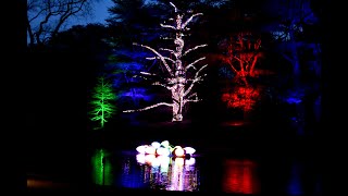 Longwood Gardens Christmas 2023