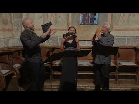 Làszló Zempléni:  III. Vivace from "Trio for Flutes"  (Pan Flute Trilogy)