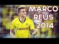 Marco Reus   The Ultimate   Skills, Goals & Assists   HD