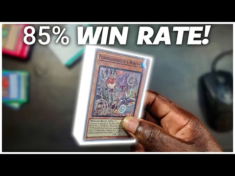 Floowandereeze Deck Profile | 85% Win Rate Floowandereeze!